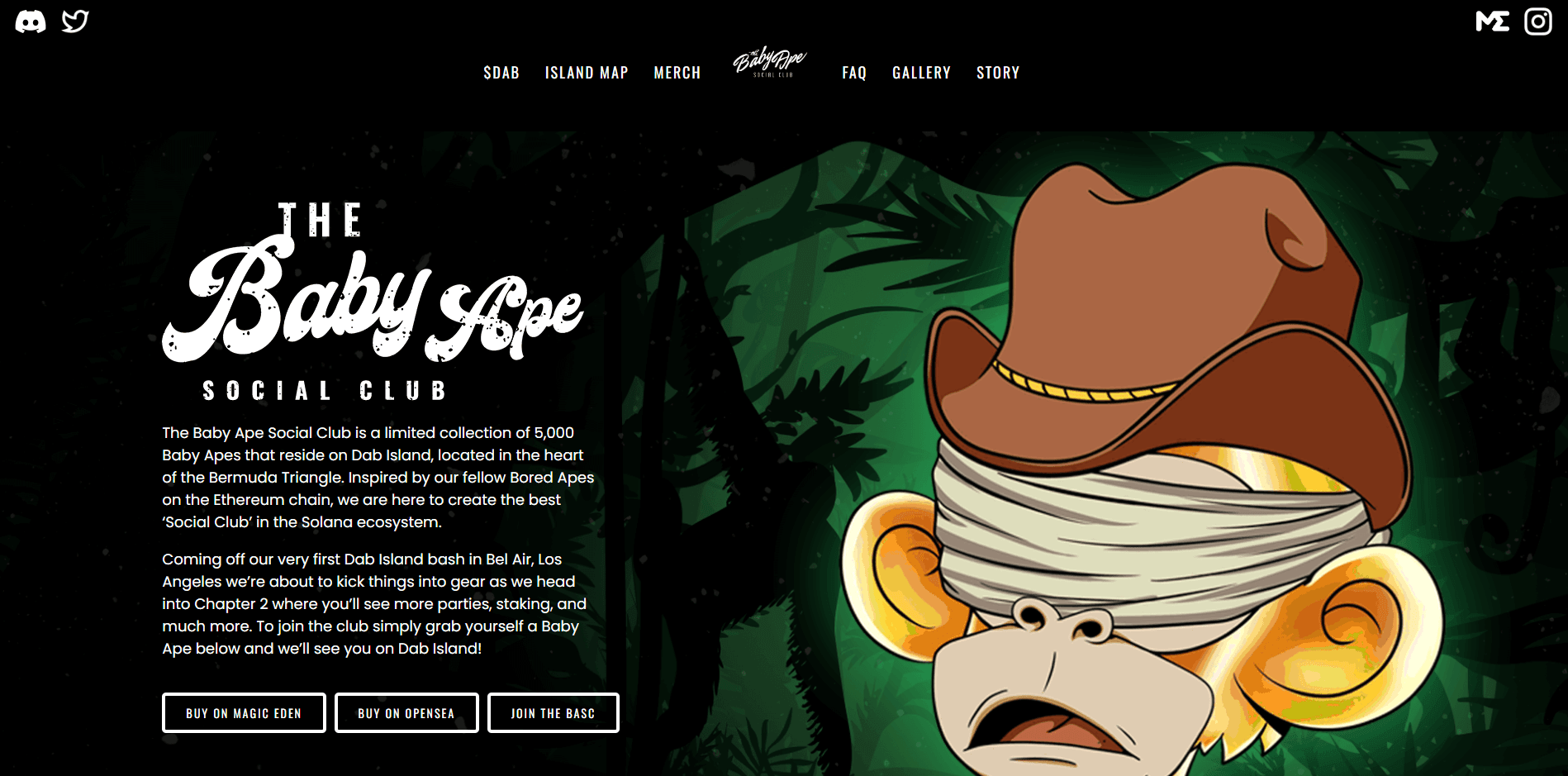 Baby Ape Social Club