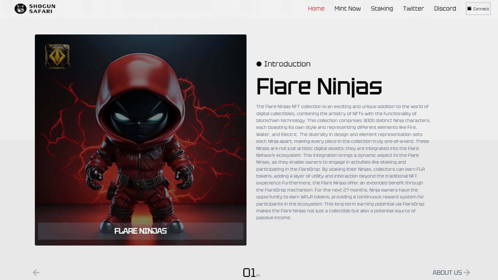 Flare Ninjas